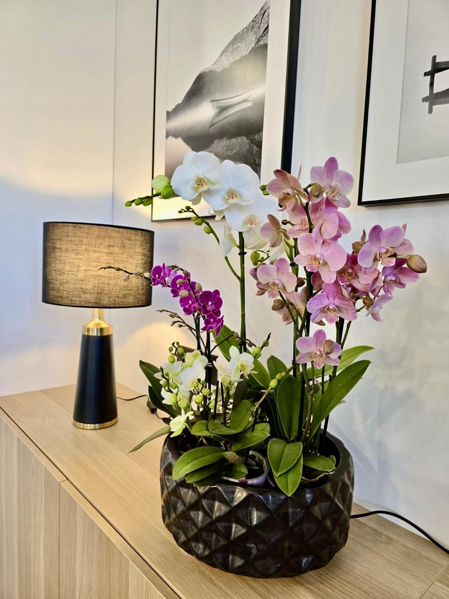 Alejos Apartmentai Comfort Druskininkai Exteriér fotografie